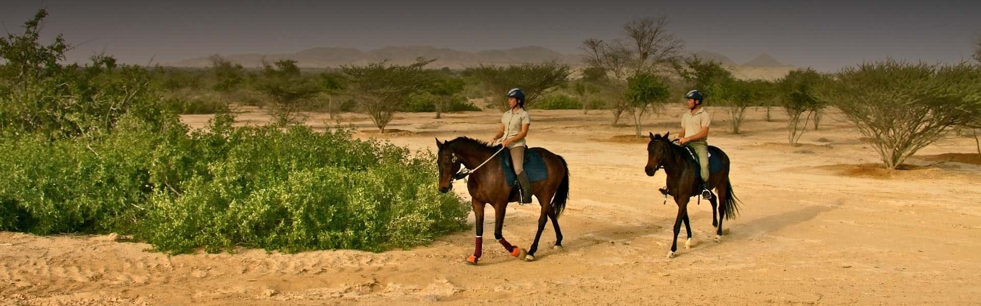Horseback Adventures: Equestrian Experiences In The Heart Of Abu Dhabi