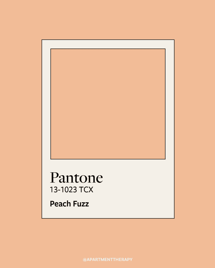 Peach Fuzz The Pantone Color of 2024 in Your Makeup Bag and Wardrobe